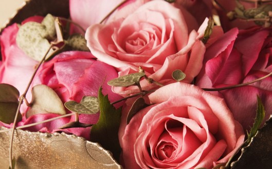 Nature_Flowers_Bouquet_of_pink_roses_025031_