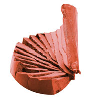 coral_lipstick_swatch