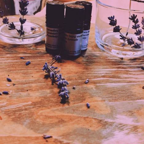 15380813_1394753580537332_4385125883994740534_n