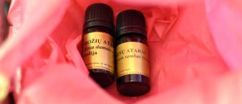 1388_946947505341872_1654116454503781649_n